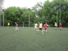 bosIMG_7043